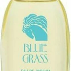 Elizabeth Arden Eau De Parfum Blue Grass 100 Ml - Voor Vrouwen -Essie winkel 320x840 4