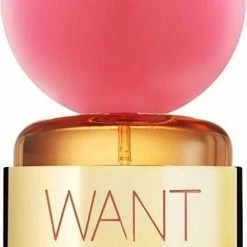 Dsquared Want Pink Ginger Eau De Parfum 50 ML -Essie winkel 417x840 3