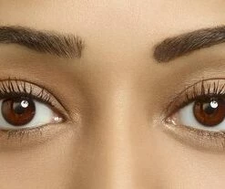 Rimmel London Brow This Way Wenkbrauwpoeder - 002 Bruin 17 Rimmel London Brow This Way Wenkbrauwpoeder - 002 Bruin -Essie winkel 550x207