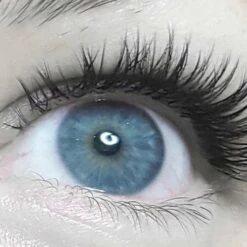 Black Line Professionele Lijm Voor One By One Wimperextensions -Essie winkel 550x366 6