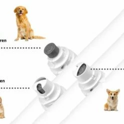 We Flow ® Elektrische Nagel Vijl Voor Huisdieren - Trimmer - Draadloos - Diamante Vijlkop - Honden/Katten/Konijnen. -Essie winkel 550x373