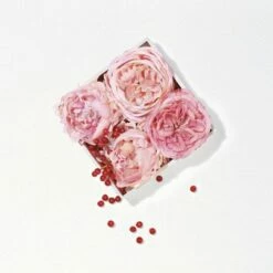 Lancôme Miracle 100 Ml - Eau De Parfum - Damesparfum -Essie winkel 550x406