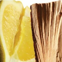 L'homme Cologne Bleue By Yves Saint Laurent 60 Ml - Eau De Toilette Spray -Essie winkel 550x510 2