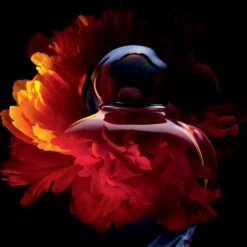 Dior Hypnotic Poison 30 Ml - Eau De Toilette - Damesparfum -Essie winkel 550x541 6