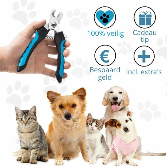 Merkloos Nagelknippper Hond Nagelknipper Kat + E-BOOK - Nagelschaar Hond - Nagelschaar Kat - Honden Nagelknipper - Nagelvijl Hond - Nageltang Hond - Nagelknipper Hond Veiligheidsstop - Nagel Hond - Bwa Commerce 2 Merkloos Nagelknippper Hond Nagelknipper Kat + E-BOOK - Nagelschaar Hond - Nagelschaar Kat - Honden Nagelknipper - Nagelvijl Hond - Nageltang Hond - Nagelknipper Hond Veiligheidsstop - Nagel Hond - Bwa Commerce - Afbeelding 2