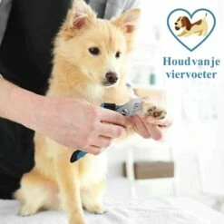 Merkloos Nagelknippper Hond Nagelknipper Kat + E-BOOK - Nagelschaar Hond - Nagelschaar Kat - Honden Nagelknipper - Nagelvijl Hond - Nageltang Hond - Nagelknipper Hond Veiligheidsstop - Nagel Hond - Bwa Commerce 7 Merkloos Nagelknippper Hond Nagelknipper Kat + E-BOOK - Nagelschaar Hond - Nagelschaar Kat - Honden Nagelknipper - Nagelvijl Hond - Nageltang Hond - Nagelknipper Hond Veiligheidsstop - Nagel Hond - Bwa Commerce -Essie winkel 550x550 314