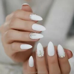 Royala 109 - Oval Almond Binnen En Buiten Full Frosted - Full Cover - Nageltips - Nepnagels - Plaknagels - In Assortimentsbox - 120 Stuks 12 Maten - Voor Gellak Acrylnagellak En PolyGel Nagels - Royala Frosted Tips Line -Essie winkel 550x550 330