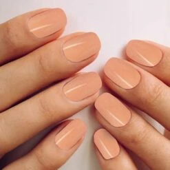 Merkloos #FAVOURITESERIE - Influence Gellac - Rode Gellak - Roze Gellak - Bruine Gellak - Gellak Rood UV - Gellak Roze UV - Gellak Bruin UV - UV Gellak - Gel Nagellak - Kado Vrouw - Sinterklaascadeau - Sinterklaas Kado - Kerstcadeau - Kerst Cadeau - 3 X 10 Ml -Essie winkel 550x550 561