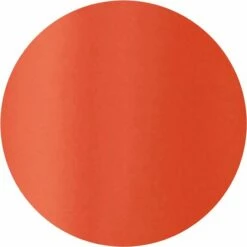 L?Or?al Paris L Or Al Paris Color Riche Matte Lippenstift - 227 Orange Pigalle - Oranje - Matte Lippenstift - 4,54 Gr -Essie winkel 550x550 63