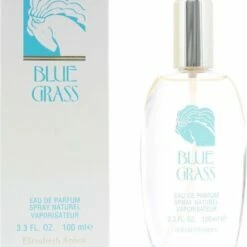 Elizabeth Arden Eau De Parfum Blue Grass 100 Ml - Voor Vrouwen -Essie winkel 550x615 1
