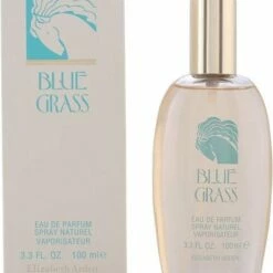 Elizabeth Arden Eau De Parfum Blue Grass 100 Ml - Voor Vrouwen -Essie winkel 550x641 1