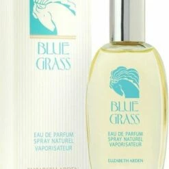 Elizabeth Arden Eau De Parfum Blue Grass 100 Ml - Voor Vrouwen -Essie winkel 550x699