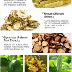 VIBRANT GLAMOUR Herbal Acne Serum - Acne - Puistjes - SerumAcne - Face Serum - Anti Acne Collageen - Gezichtsverzorging - Gezicht Serum -Essie winkel 550x739 1