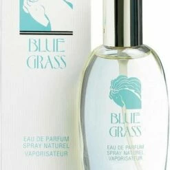 Elizabeth Arden Eau De Parfum Blue Grass 100 Ml - Voor Vrouwen -Essie winkel 550x799 1